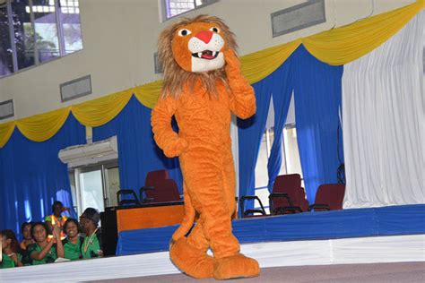 JFC Mascot: A Symbol of Unity and Pride for the JFC Community